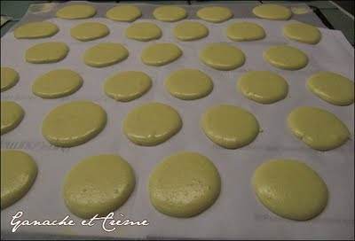 Macarons citron vert et gingembre Macarons1