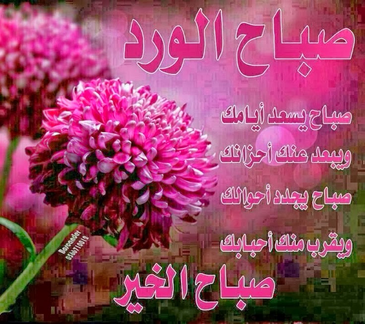  صور صباح الخير أحلى الصور الجديدة - منوعات الصور لكل صباح 2014 65c47ca1bb96117bbd0425ef8ad7d31f