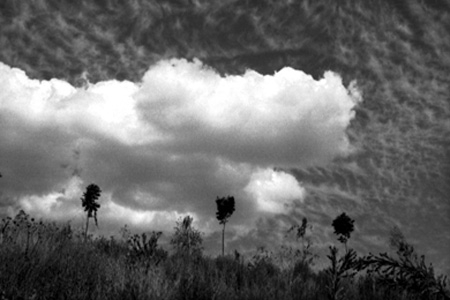 Renunciar... Resistirse... Viento-y-nubes