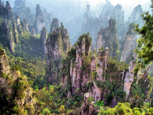 شاهد أعمدة تشانغجياجيه الصينية.. عالم ليس كعالمنا Pillar-mountains-china02