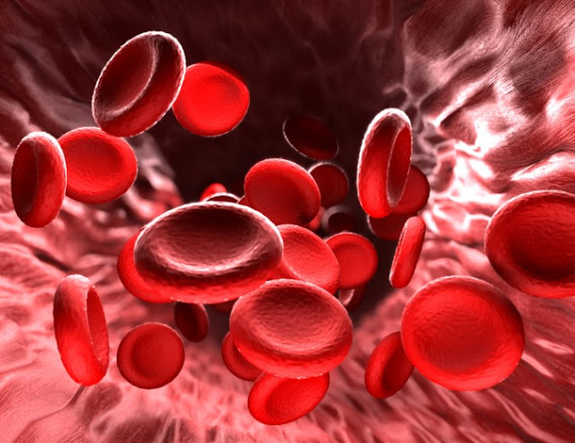 The Truth About Alkalizing Your Blood  Blood