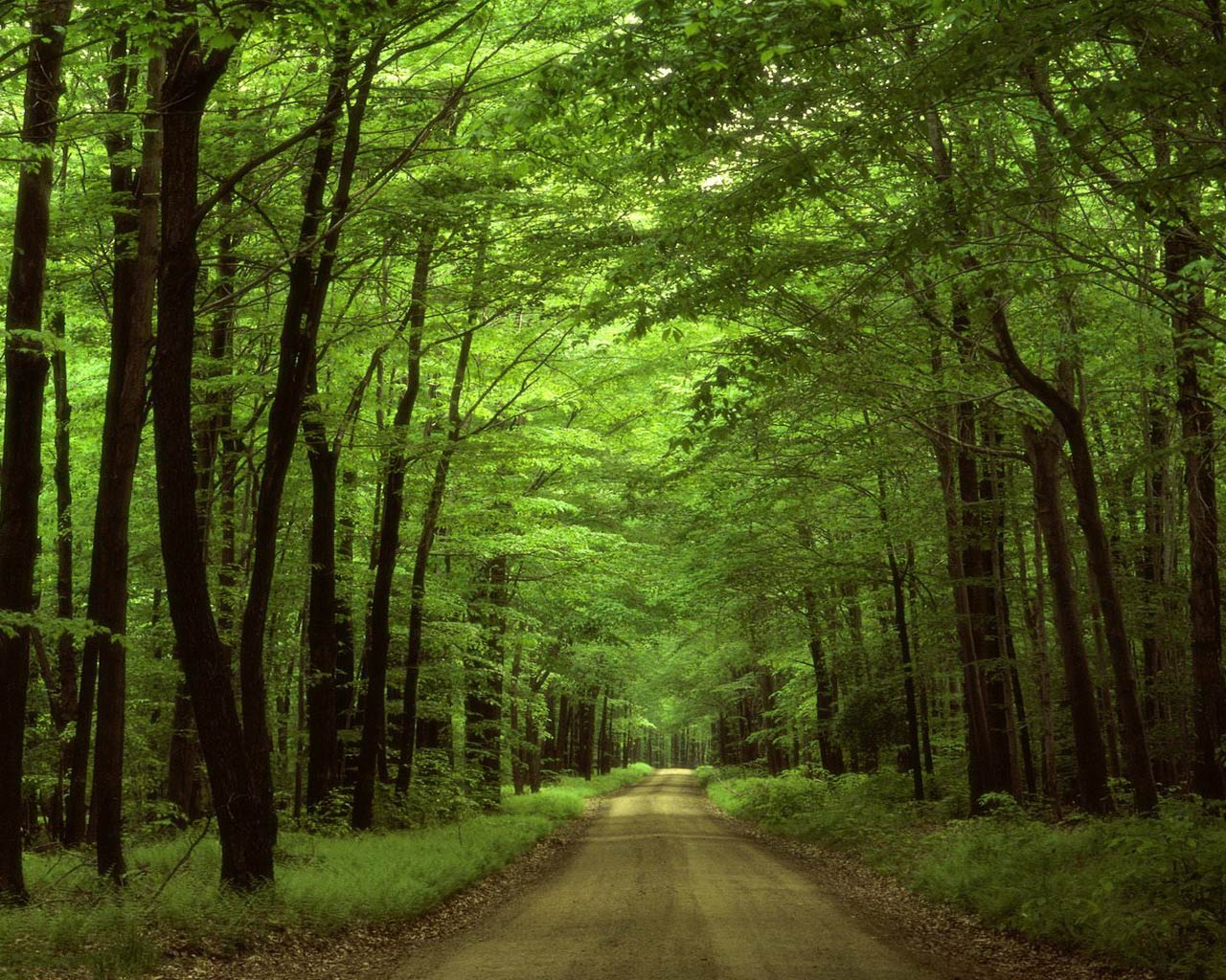 Una imagen sin palabras - Página 2 Fondo-de-pantalla-Naturaleza-104