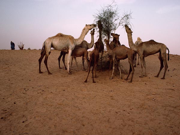 Najredje naseljena mesta na svetu Mauritanija-slike