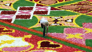 أكبر سجادة مصنوعة من الزهور في العالم  Flower-carpet-2