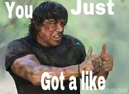 ☽ Le Cri du Chat (Newsletter #2) Rambo-got-a-like-funny-photos-for-facebook-comments