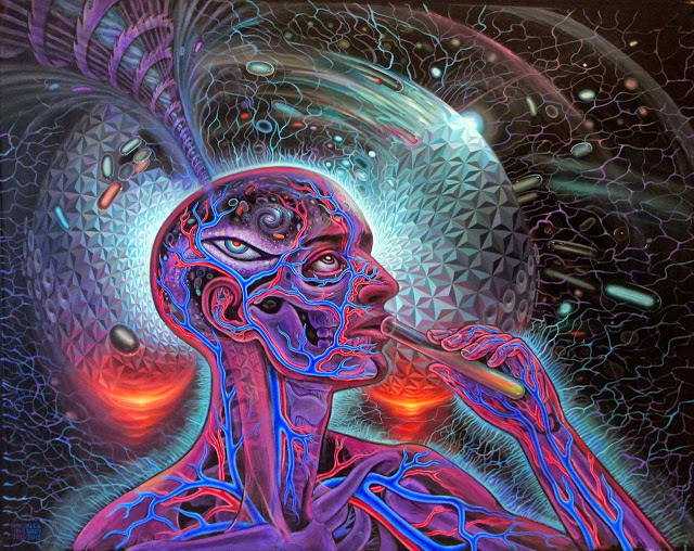 DMT and the Persistent Illusion  DMT-AG