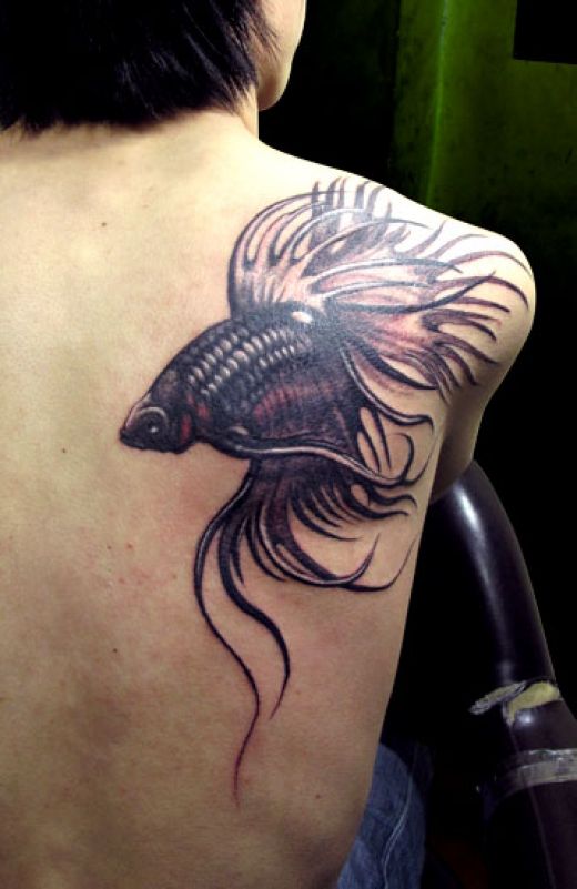 les tatoué(e)s du forum Fish-tattoo-designs