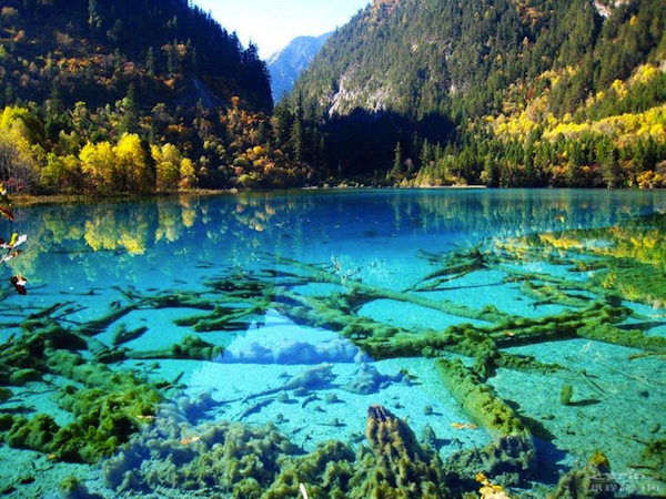 صور مدهشه وغريبه 2-Crystalline-Turquoise-Lake-Jiuzhaigou-National-Park-China-1