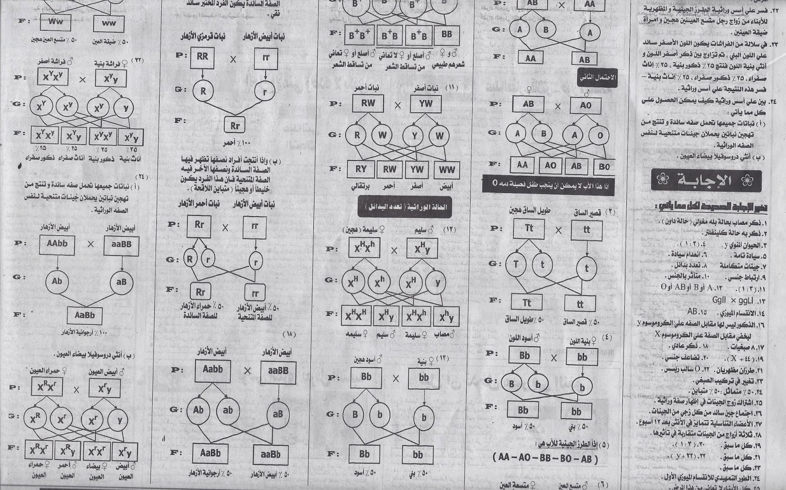 جميع أسئلة ومسائل الوراثة المتكررة فى امتحان الأحياء للثانوية العامة - ملحق الجمهورية التعليمى 3/5/2015 Scan0003