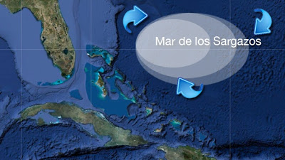 Los otros Triángulos de las Bermudas Agua-misterio-mar-de-los-sargazos