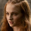 Nord Sansa-Stark