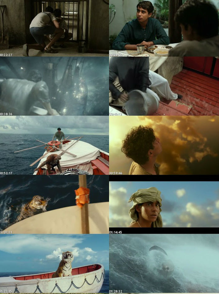 ++มาสเตอร์แล้ววว++[Super/ Mini-HD] Life of Pi (2012) ชีวิตอัศจรรย์ของพาย  LOP_guy2u_ss