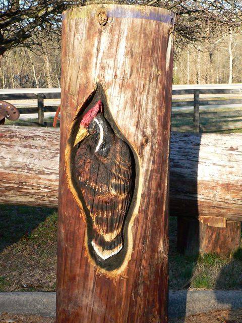 Animals Carved In Tree Trunk Image024