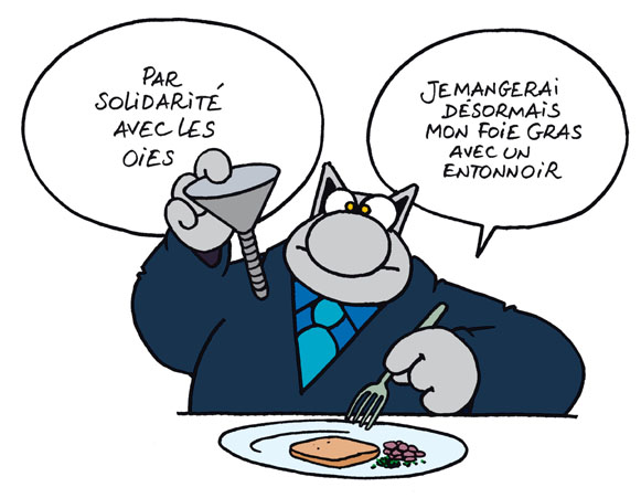 le chat ! 0511016TOT