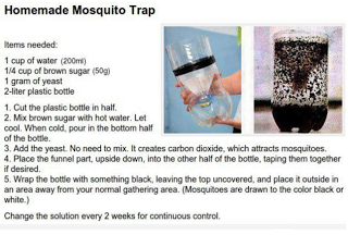 Φτιάξτε παγίδα για κουνούπια, απλά και φθηνά... Pasides-kounoupiwn