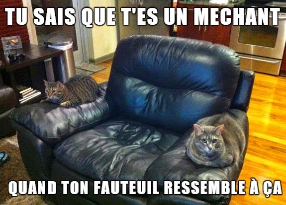 Images/Gifs ou autres conneries du genre. - Page 22 Jetetroll-17-11-14-img12