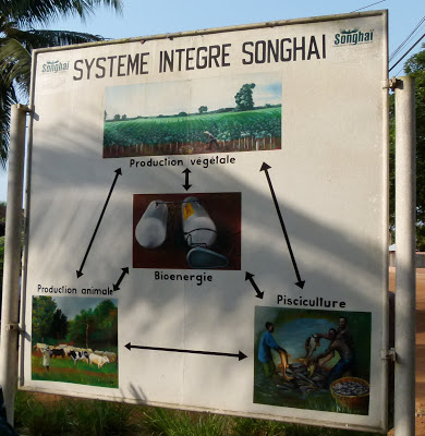 Topic officiel.  Songhai%2BIntegrated%2BSystem