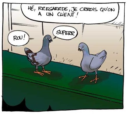 La vérité sur les pigeons Pigeons