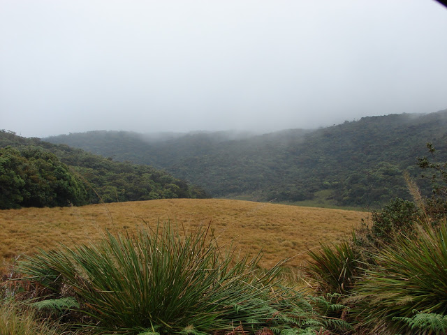 இலங்கையில் ஹோட்டன் சமவெளி Horton-plains-1