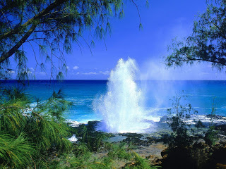 أنعش يومك بشاهدة أجمل شواطئ جزر هاواي  Spouting_Horn%252C_Kauai%252C_Hawaii___erc