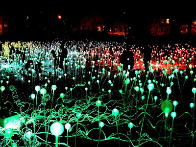 Flores de luz Bruce-munro-field-of-lights2