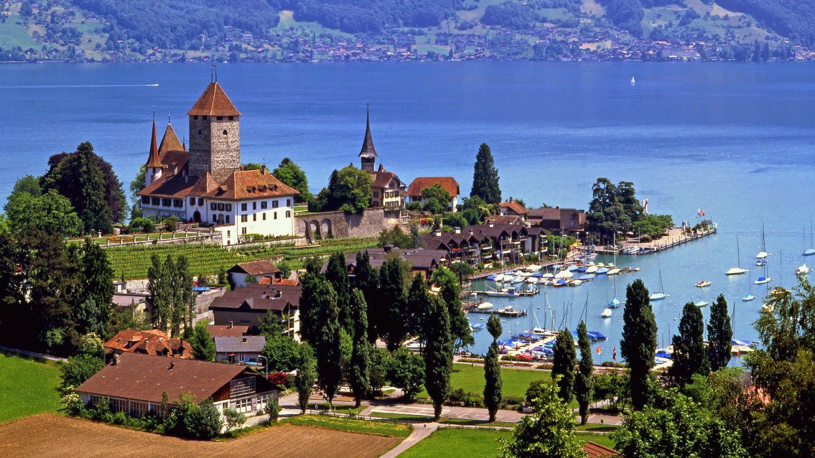 Selo ili grad ? - Page 2 Spiez-castle-lake-thun-switzerland-wallpaper