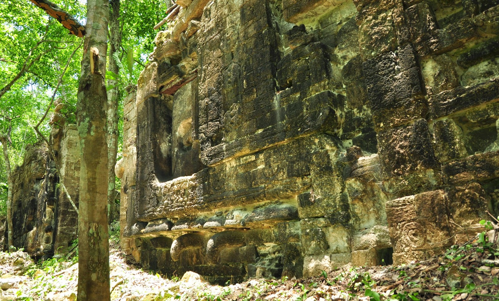 Two ancient Maya cities discovered in the jungle of southeastern Mexico Mexico_09
