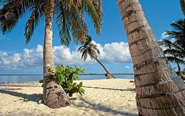 Aruba - điểm du lịch biển tuyệt vời  Aruba5