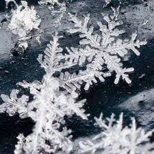 Update On Fake Snow Reports From Across The Country! Snowflakes4