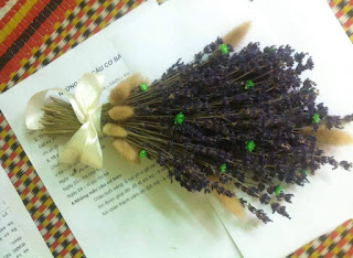 Hoa Oải Hương Khô ( Lavender khô) món quà dành tặng người mình yêu thương nhất  12074877_431022600414827_5600299359077452762_n