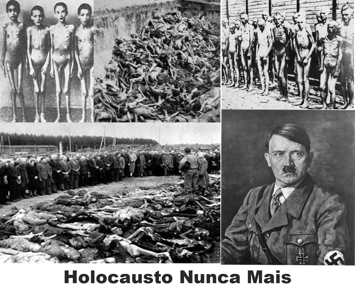 Deus usou Ritler -  foi Deus que matou os judeus pela mão de Hitler Holocausto-copia