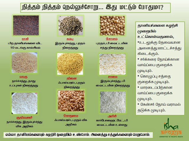 நலம் தரும் நவதானியங்கள்  Cerials