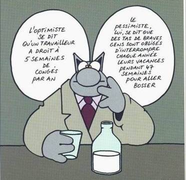 Rire en cascade Chat_geluck_vacances