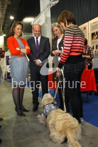 CASA REAL BELGA - Página 50 Picture-34787657-preview-watermark