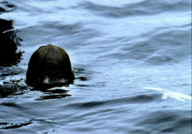 تجارب واقعية: الغريق المتحول Drowned