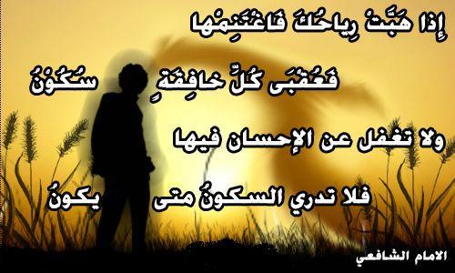 حكم وامثال وأقوال  .. - صفحة 24 58