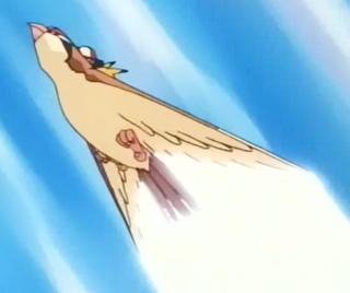 Pokemons de Kanto! Pidgeot_Quick_Attack