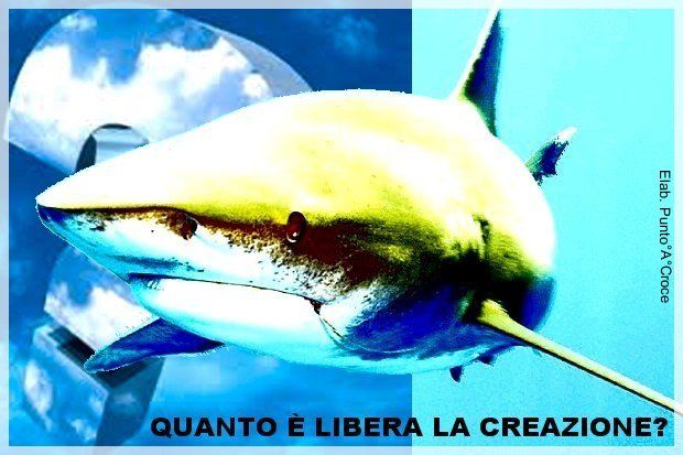 Quanto è libera la creazione? Parli T1-Creazione_libera1