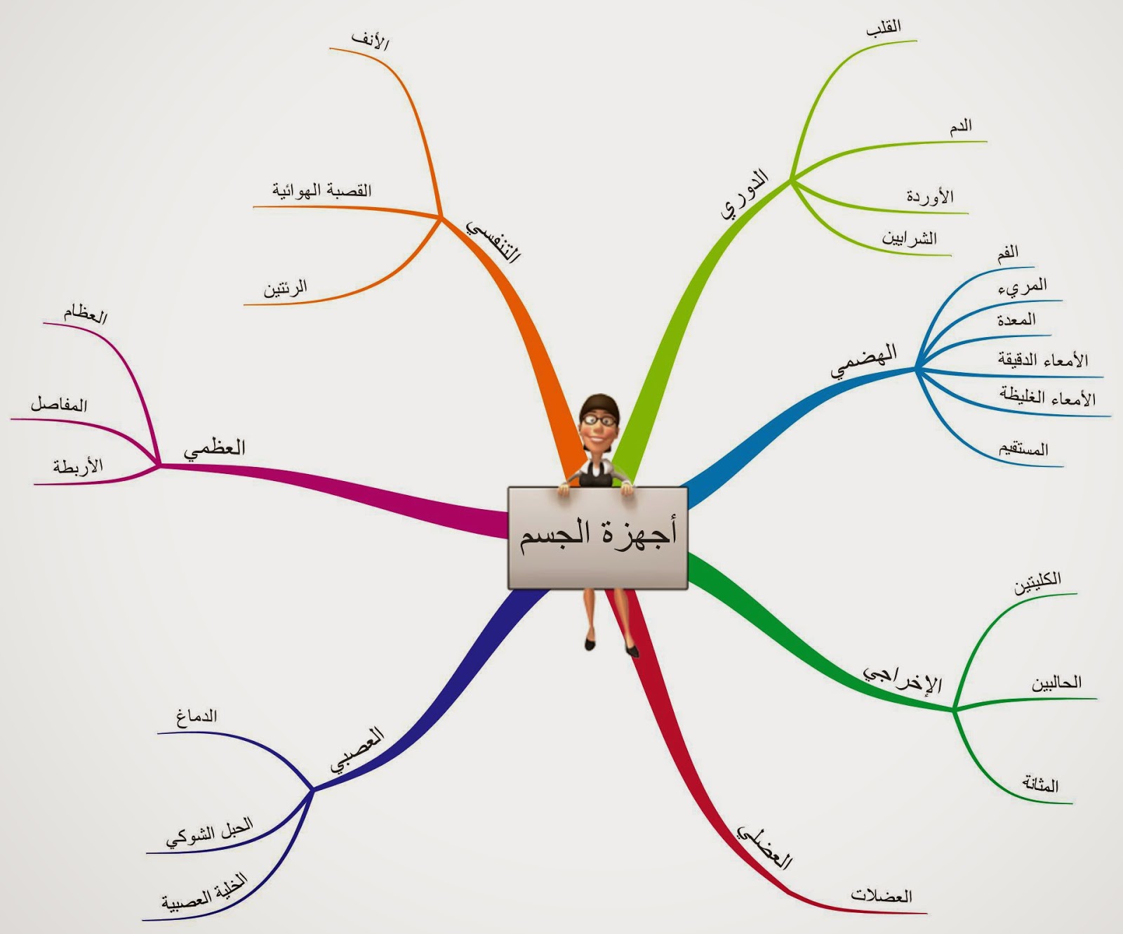 أجهزة الجسم %D8%A3%D8%AC%D9%87%D8%B2%D8%A9%2B%D8%A7%D9%84%D8%AC%D8%B3%D9%85