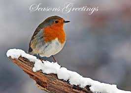 Auguri per il periodo di Natale e Capodanno - Pagina 9 Robin