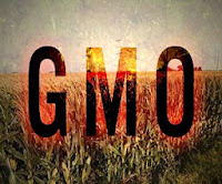 China to US: ‘Take Your 60,000 Tons of GMO-Contaminated Corn and Shove It’  GMO