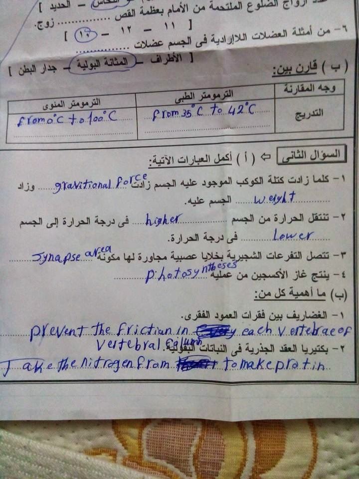 امتحانات مصر كل المحافظات فى كل المواد الفعلية للصف السادس يناير 2015 تم تجميعها هنا 10896942_1387220964914777_8169190322388981804_n