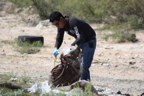 Ejecutan a tres integrantes de una familia en Chihuahua Cc7