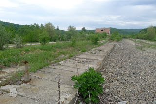 Excursie Ramnicu Valcea - Blidari (pe calea ferata Valcea - Valcele) - Pagina 3 P1130050