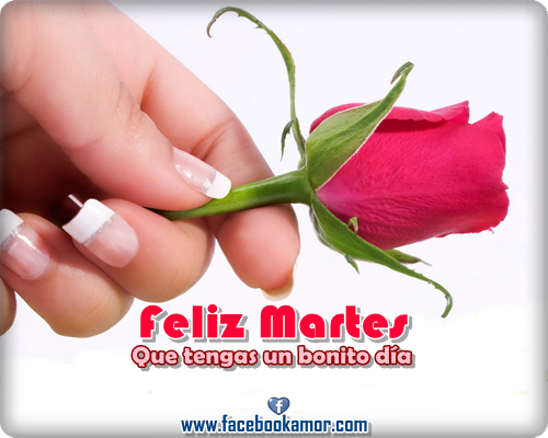 Buenos días, o buenas tardes..... - Página 23 Feliz-dia-martes-para-facebook