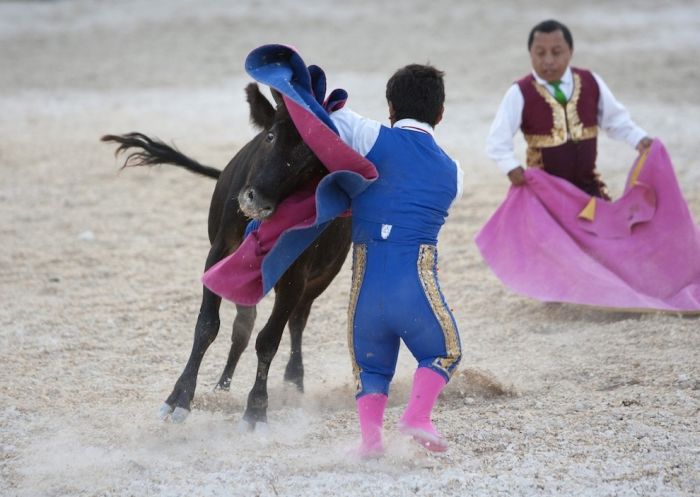 مصارعة الثيران للاقزام  Bullfighters_10