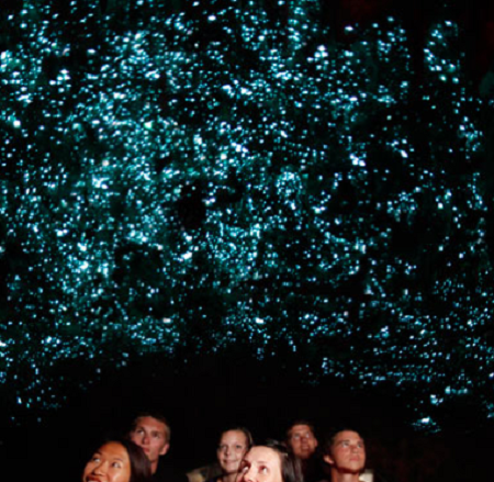 WAITOMO GLOWWORM CAVES, Wondrous cave in New Zealand radiates natural lights Waitomo-Glowworm-1