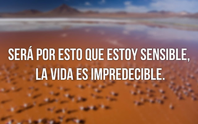 Una frase para cada dia - Página 37 Frase7