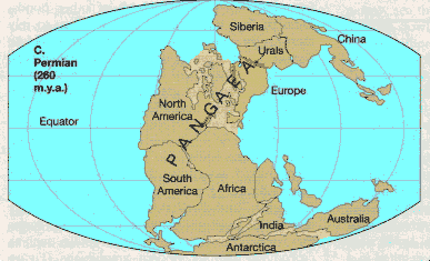 23 HAZİRAN 2019 CUMHURİYET PAZAR BULMACASI SAYI : 1734 Pangaea