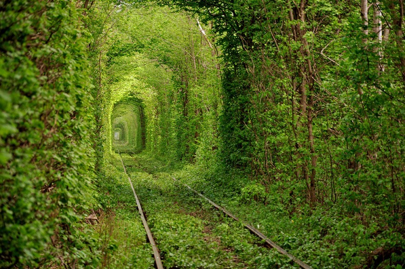 Terowong cinta di Kleven, Ukraine Tunnel-of-love-2%255B2%255D